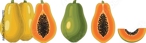 Papaya fruit collection vector illustration including whole ripe papayas sliced halves and wedge pieces isolated on transparent background for tropical food design