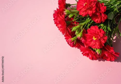 Bouquet of vibrant red flowers on a pink background