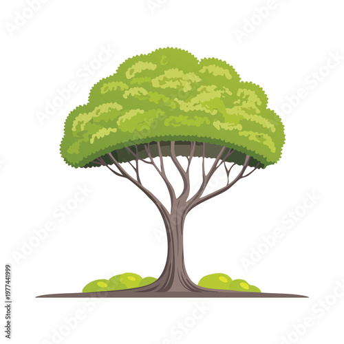 Stylized vector illustration of a green tree with a rounded canopy and visible branches providing