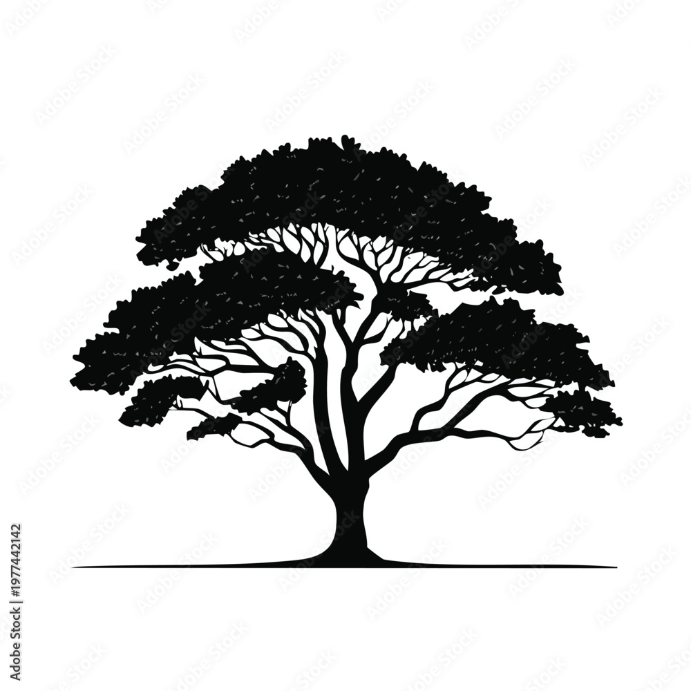 Fototapeta premium Black silhouette of an acacia tree with flat-topped canopy vector illustration providing essential