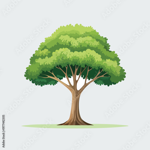 Green canopy tree on light gray background providing essential scale elements for architectural