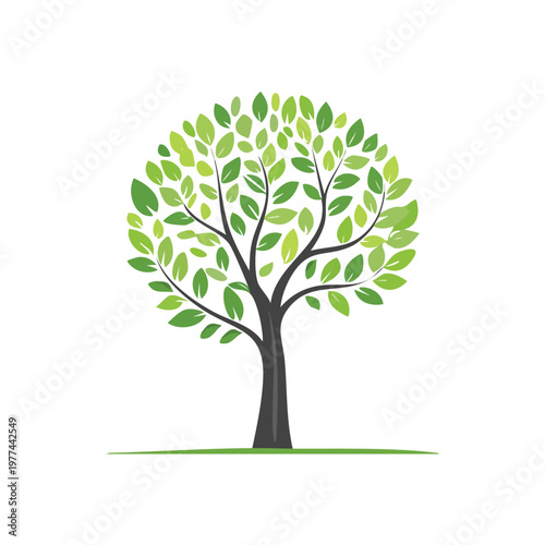 Green leafy tree vector illustration providing essential scale elements for architectural plans