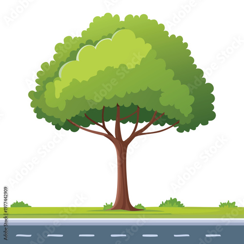 Roadside tree providing scale for architectural plans urban design visualization projects