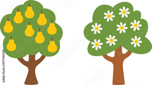 Cartoon pear and blossom fruit tree set, flat vector illustration for kids nature design