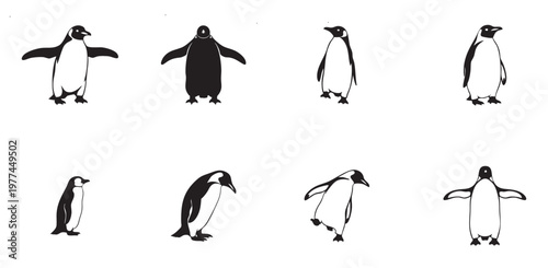 Collection of walking penguin. Penguins in Different Poses. Black and white penguins clean wildlife drawings for winter designs.