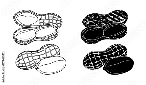 Detailed peanut icon set outline silhouette vector illustration