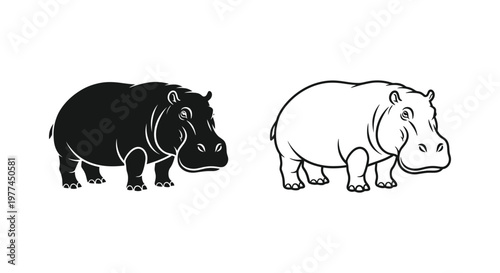 Hippopotamus Types: Black vs White Hippo Guide Vector