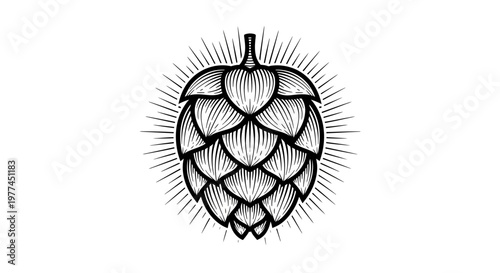 Vintage Engraved Hop Cone Emblem with Sunburst Rays