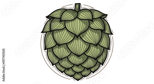 Old-school brewery style hop illustration for craft beer branding