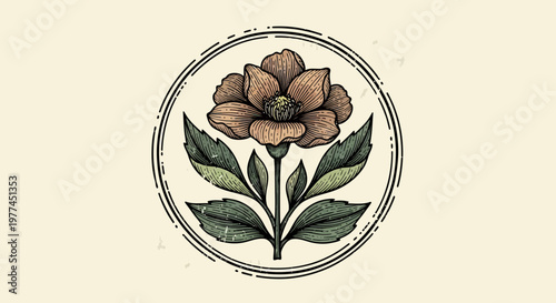 Vintage hand-drawn engraving illustration of a blooming flower in a decorative circular frame, exuding rustic elegance
