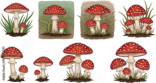 Hand Drawn Red Mushroom Vector Set with Forest Toadstools Wild Amanita Fungi and Nature Elements for Botanical and Autumn Design