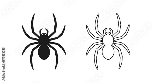 Black and White Spider Comparison Guide Vector