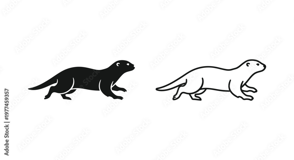 Fototapeta premium Otters vs Otter-like Animals: Key Differences Vector