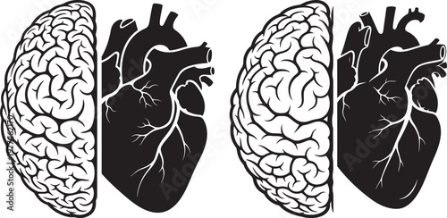Human brain and heart comparison with black and white human body human organs comparison opposite contrast psychology philosophy thinking rational emotional internal silhouette connection