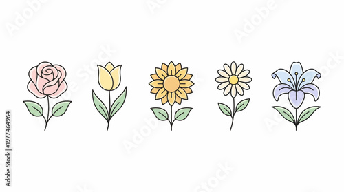 Collection of Five Delicate Line Art Flowers, Including a Rose, Tulip, Sunflower, Daisy, and Lily, Perfect for Spring and Floral Designs