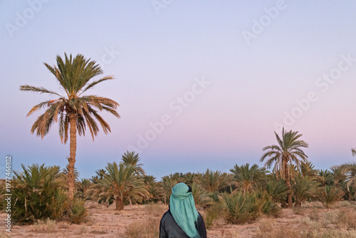 A teenage tourist wearing a turban looking at palm oasis