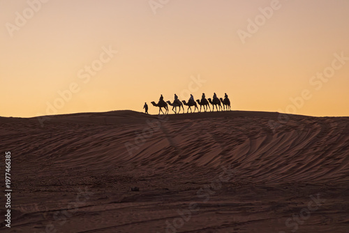 Camel caravan crossing desert dunes at sunset in morocco