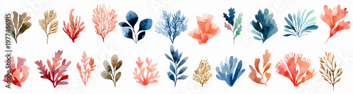 Watercolor illustration set featuring various vibrant coral fragments and stylized underwater flora, creating a diverse collection of marine life elements for aquatic designs