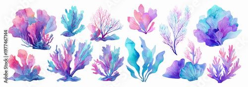 Various watercolor marine plants and seaweeds in pink, blue, and purple hues, forming a vibrant collection of underwater flora for oceanographic or aquatic themed projects