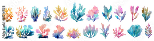Watercolor collection of diverse underwater sea plants and colorful marine flora elements, creating a vibrant coral reef illustration for aquatic and natural themes