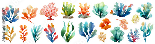 Watercolor collection of diverse marine plants, seaweed, and colorful corals, illustrating ocean life and aquatic flora in a vibrant, artistic set of elements for design