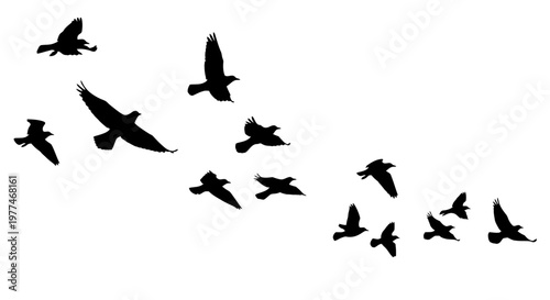 A flock of birds in flight silhouetted against a white background