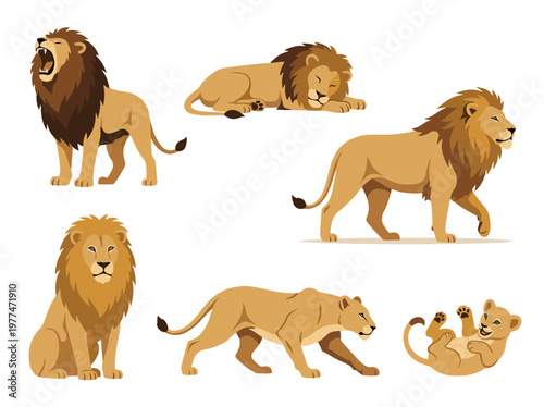 Lion set: roaring male, hunting lioness, cub playing, and walking lions in flat vector style