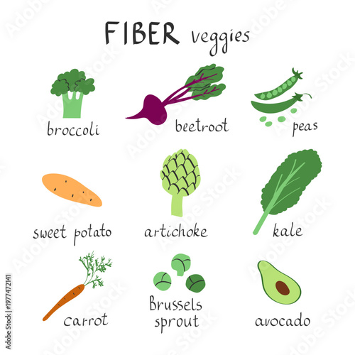 Collection of handdrawn high fiber vegetables with names. Fiber maxxing concept for gut health. Concept of healthy plant based eating, digestion support, nutrition and balanced diet.
