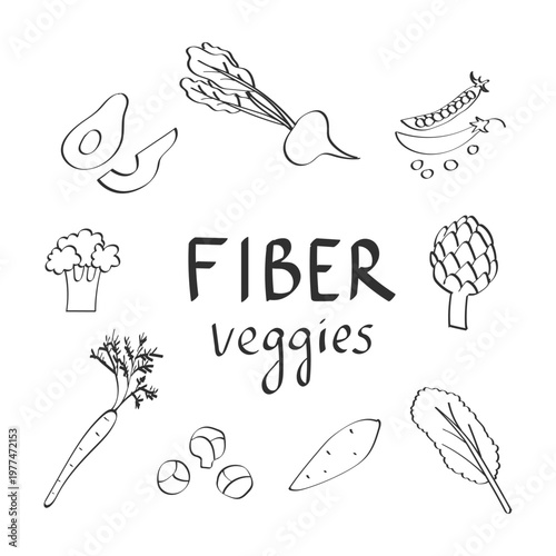 Collection of handdrawn high fiber vegetables. Fiber maxxing concept for gut health. Concept of healthy plant based eating, digestion support, nutrition and balanced diet.