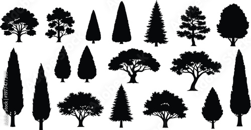 Tree silhouette collection, forest icon set, botanical illustration, nature design, conifer silhouette, deciduous tree, landscape element, eco art