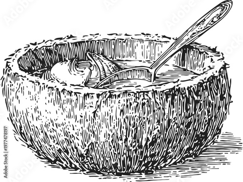 Coarse detailed hand drawn coconut bowl with spoon and coconut flesh inside illustration