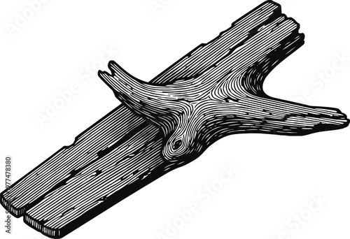 Vintage wooden planks and branch illustration hand drawn old timber wood textures rustic natural lumber art
