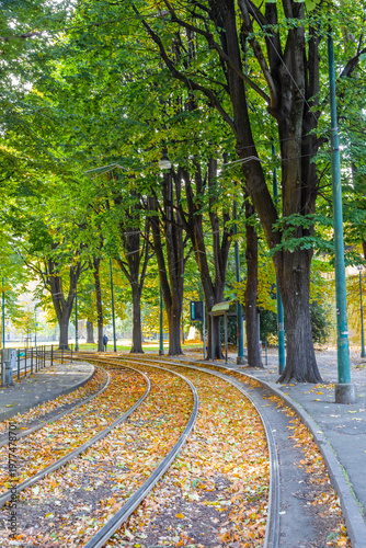 Autumn Leaves Covering Tram Tracks