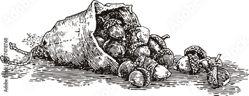 vintage illustration of a burlap sack spilling acorns and chestnuts on the ground
