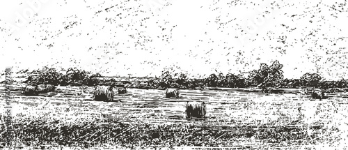 Rustic wheat field with hay bales scattered in countryside landscape under cloudy sky