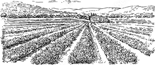 rural countryside landscape with cultivated fields and distant farmhouse, vintage engraved illustration