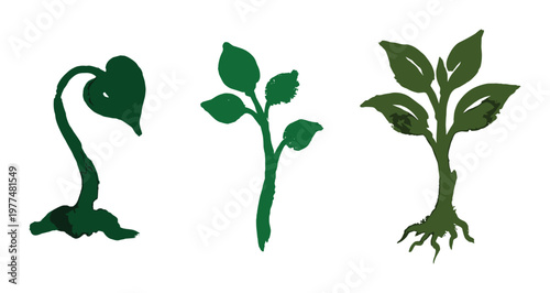 Green plants sprouting from ground in different stages of growth isolated on transparent