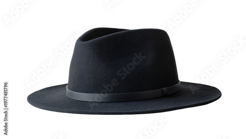 Classic black fedora hat with ribbon band and wide brim
