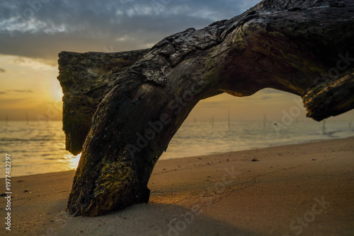 Nature’s Arch
