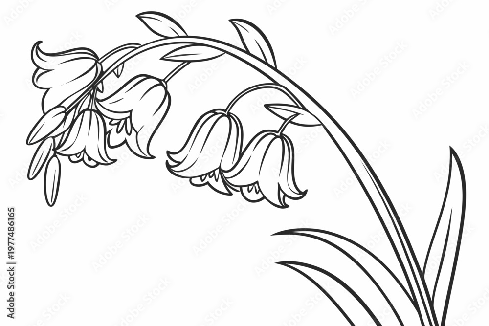 Obraz premium coloring page line art the buttercup flower black vector