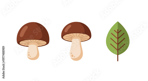 Flat design brown mushrooms with green leaf: nature and botany