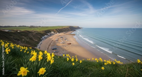 Spring daffodils on green cliffs overlooking beach and fishing boats