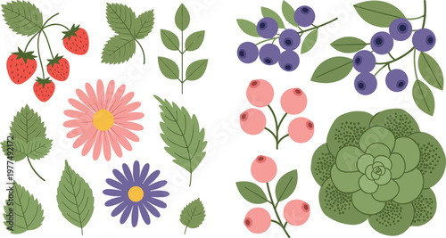 Fruit, Flower, and Plant Icon Set Featuring Strawberries, Blueberries, Flowers, Leaves, and Succulent for Web and App Use