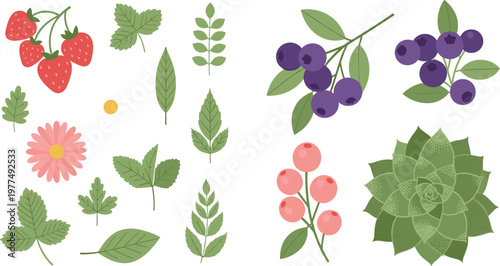 Fruit and Plant Icon Set Featuring Strawberries, Blueberries, Leaves, Flowers, and Succulent Plants for Web and App Use