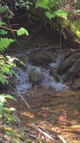 water in a natural stream, Galicia, Spain