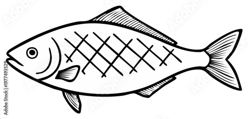 Scored fish prepared for cooking black and white line art illustration