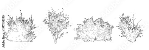 Vector set of shrubs and bushes in elevation view for use in architectural drawings