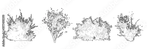 Obraz Vector set of shrubs and bushes in elevation view for use in architectural drawings