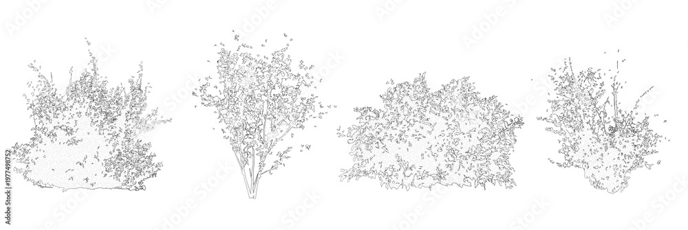 Fototapeta premium Set of shrubs and bushes in elevation view for use in architectural drawings