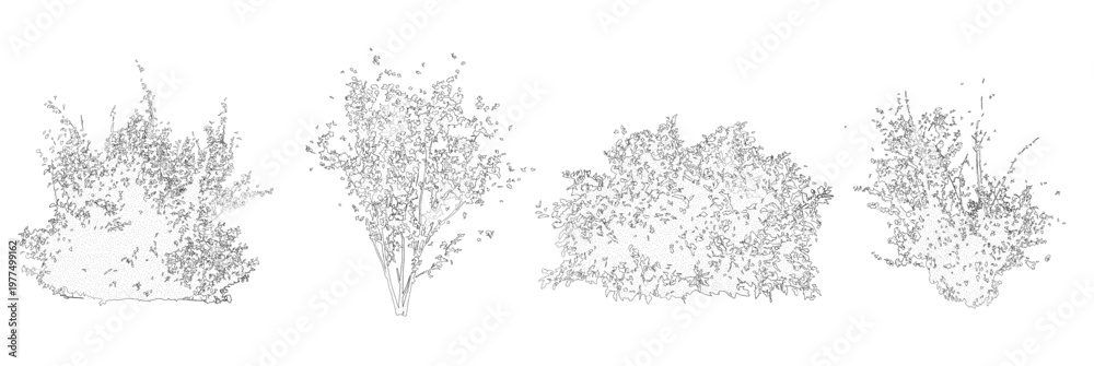 Obraz premium Vector set of shrubs and bushes in elevation view for use in architectural drawings